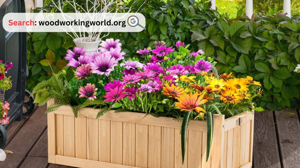 Wooden Planter Boxes