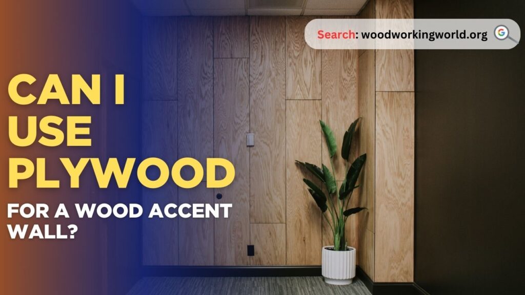 Can I use plywood for a wood accent wall?