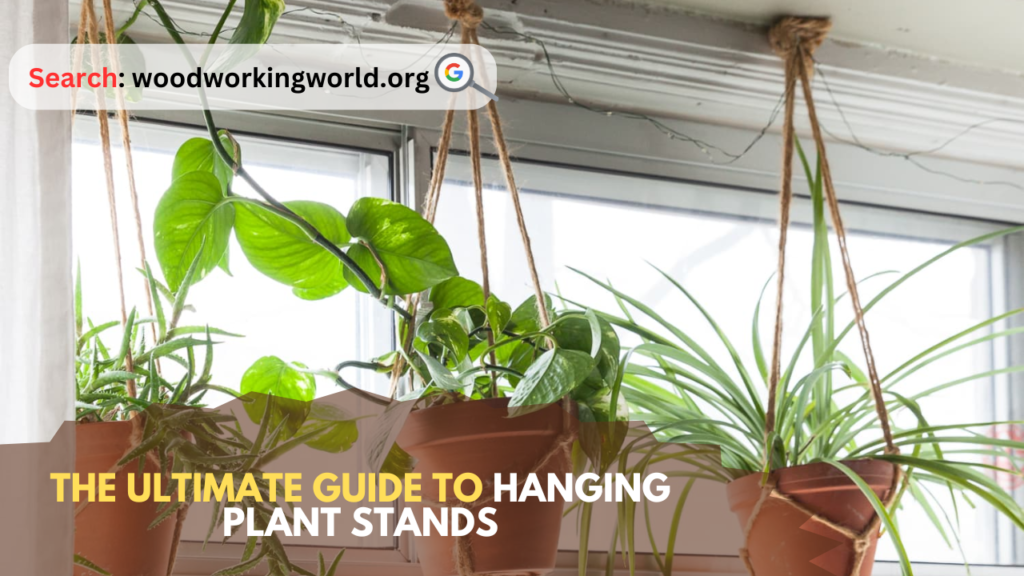 The Ultimate Guide to Hanging Plant Stands