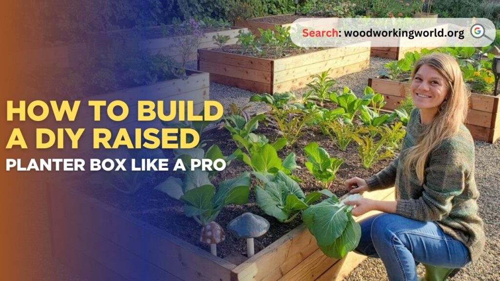 How to Build a DIY Raised Planter Box Like a Pro