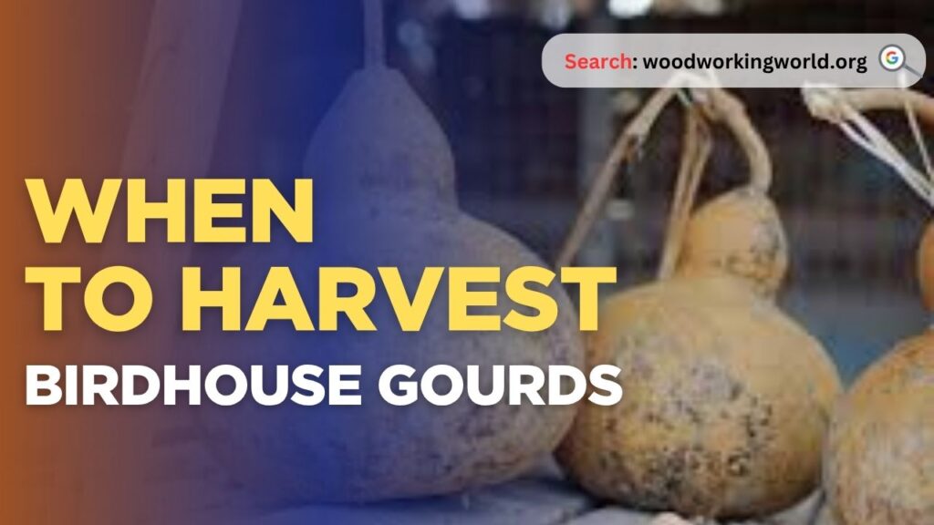 When to Harvest Birdhouse Gourds