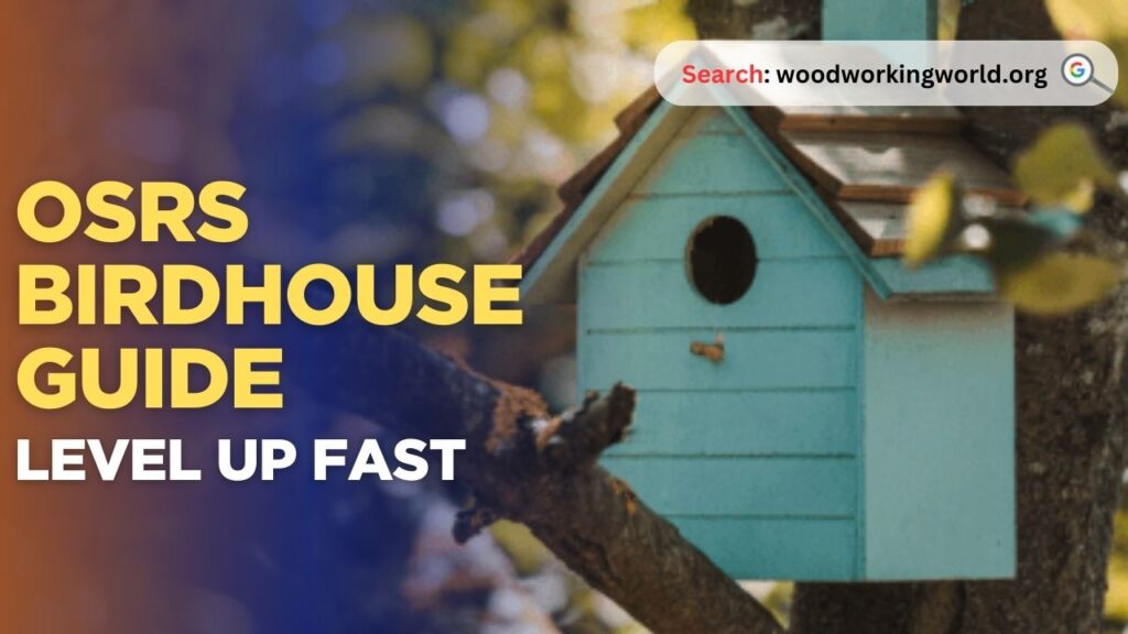 OSRS Birdhouse Guide: Level Up Fast