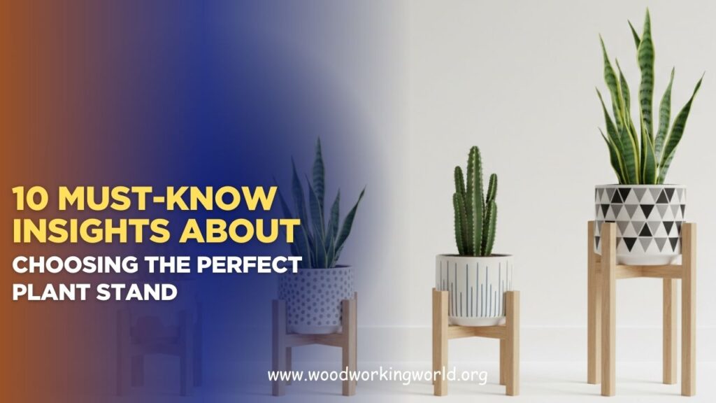 10 Must-Know Insights About Choosing the Perfect Plant Stand (Updated 2026)